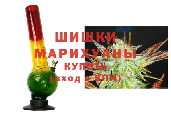 PSILOCYBIN Балахна