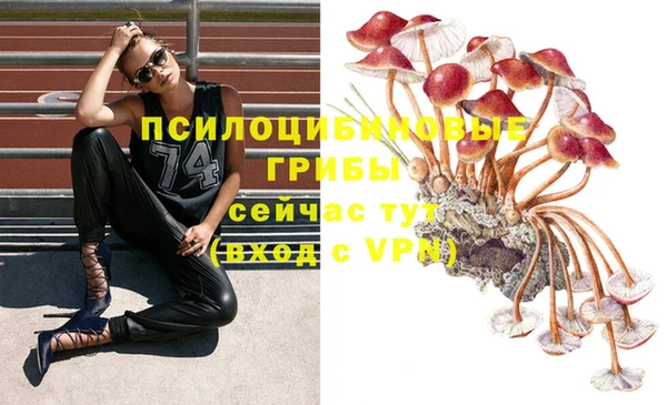 PSILOCYBIN Балахна