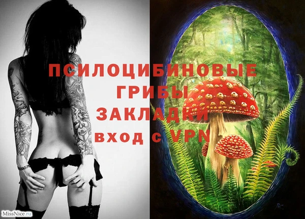 соль курить ск Балабаново