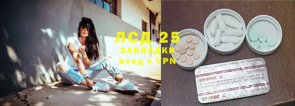PSILOCYBIN Балахна